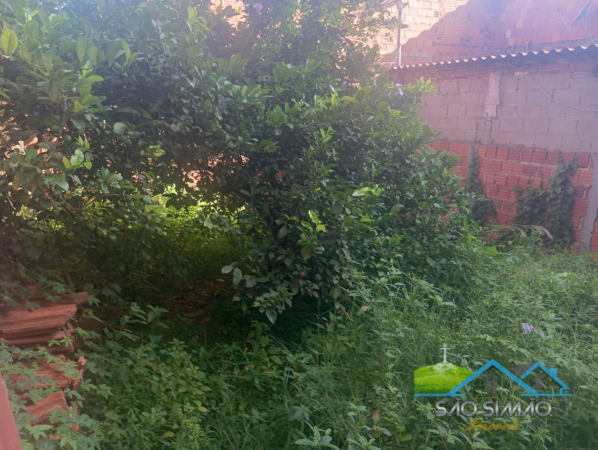 Ponto Comercial a venda em São Simão SP