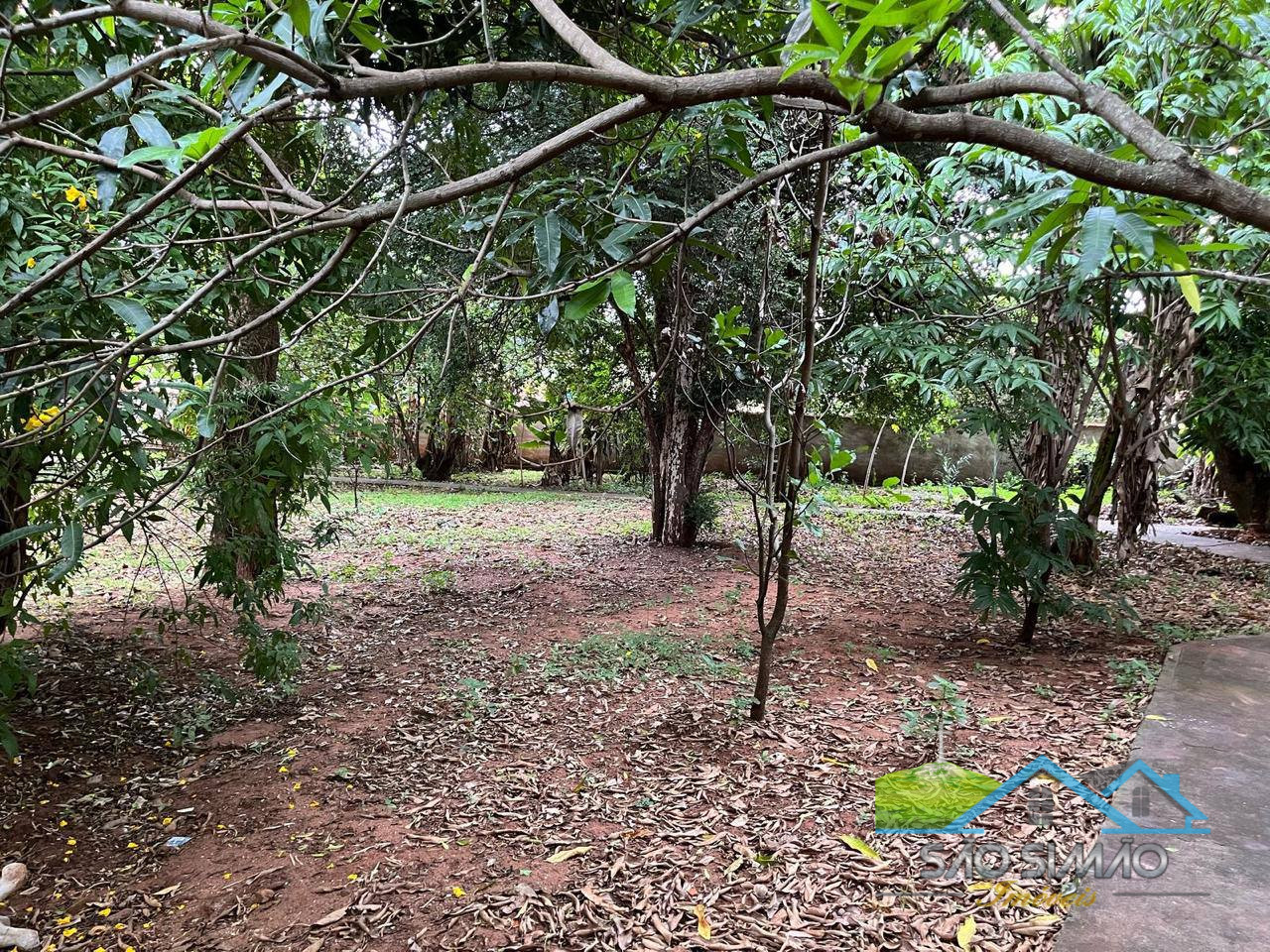 Chácara á venda em São Simão-SP com 5 quartos sendo 2 suítes.