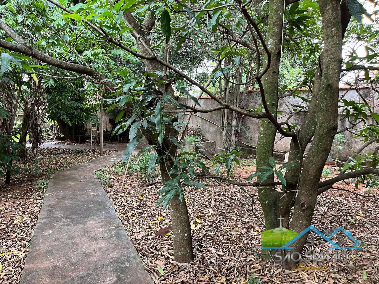 Chácara á venda em São Simão-SP com 5 quartos sendo 2 suítes.