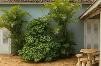 Chácara á venda em São Simão-SP com 5 quartos sendo 2 suítes.