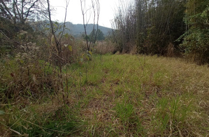 Chácara a venda em São Simão no Centro