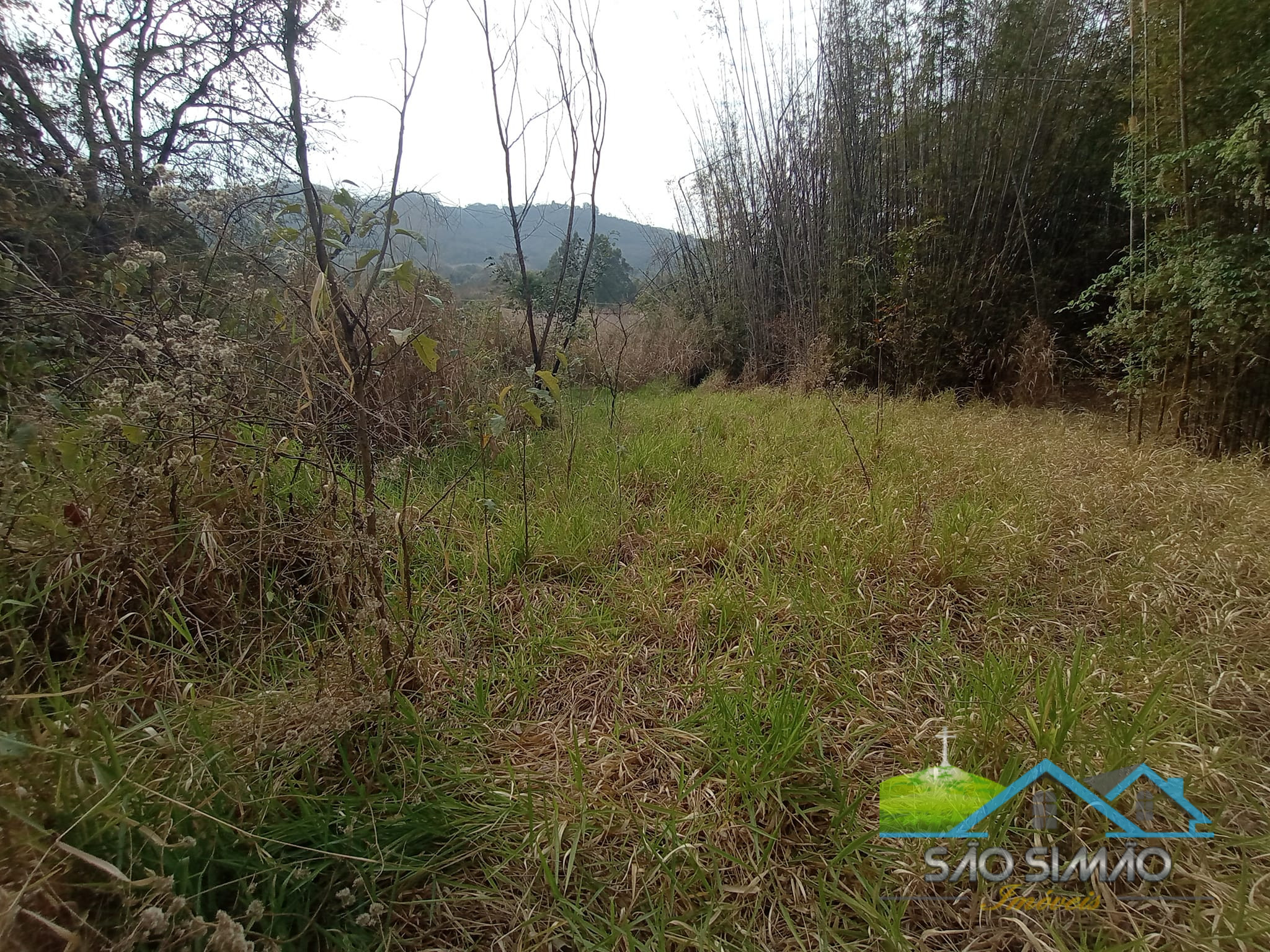 Chácara a venda em São Simão no Centro
