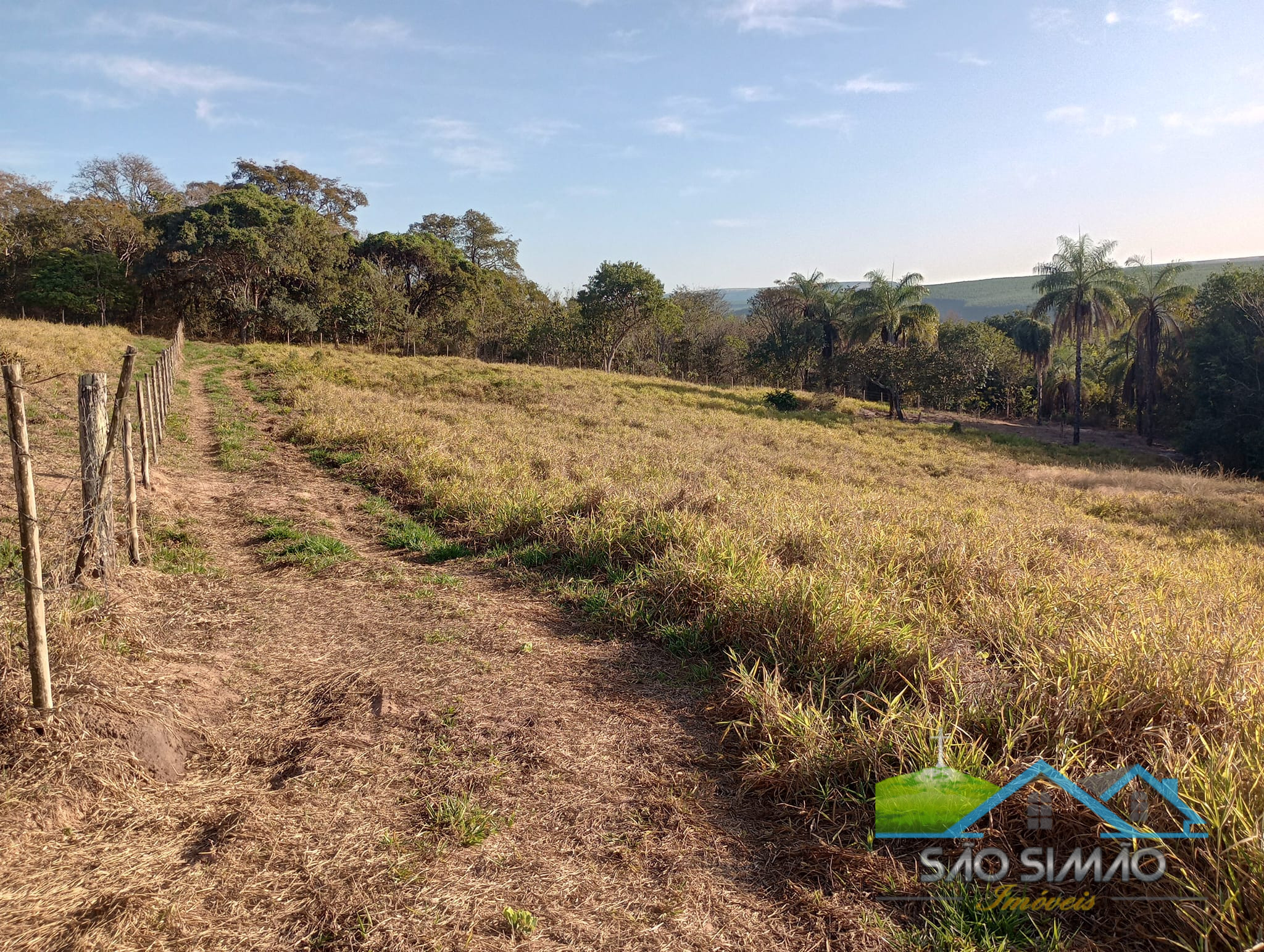 Sítio a venda em São Simão SP,  oportunidade rara