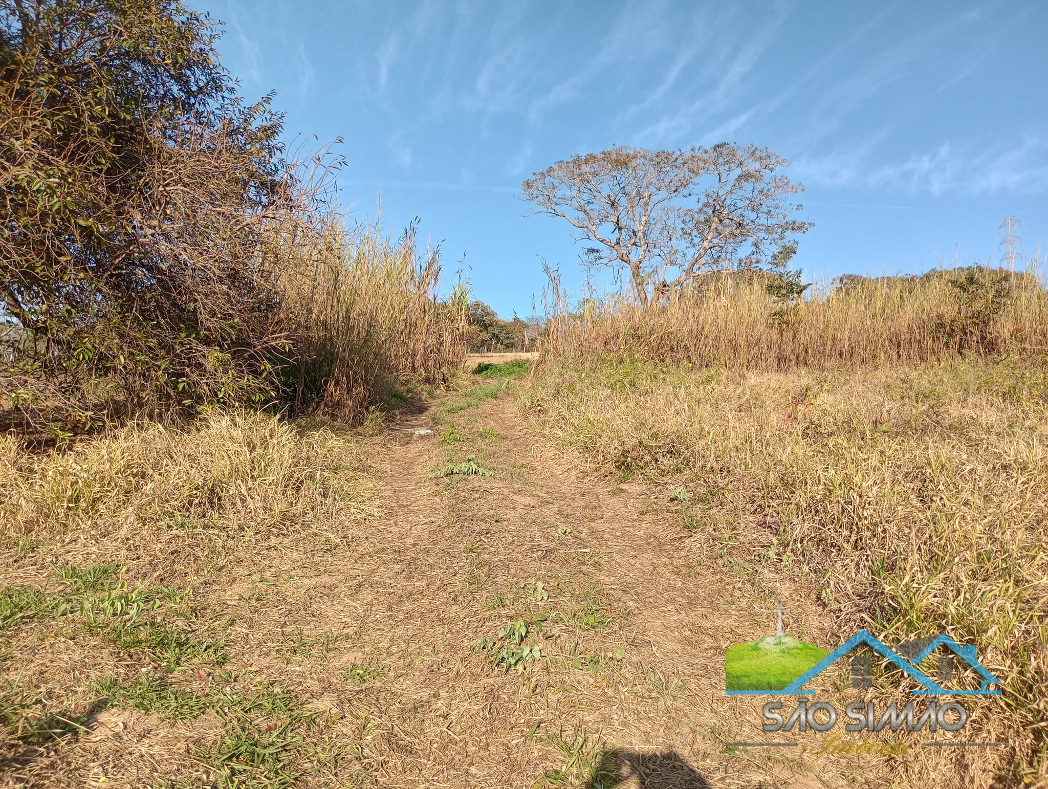 Sítio a venda em São Simão SP,  oportunidade rara