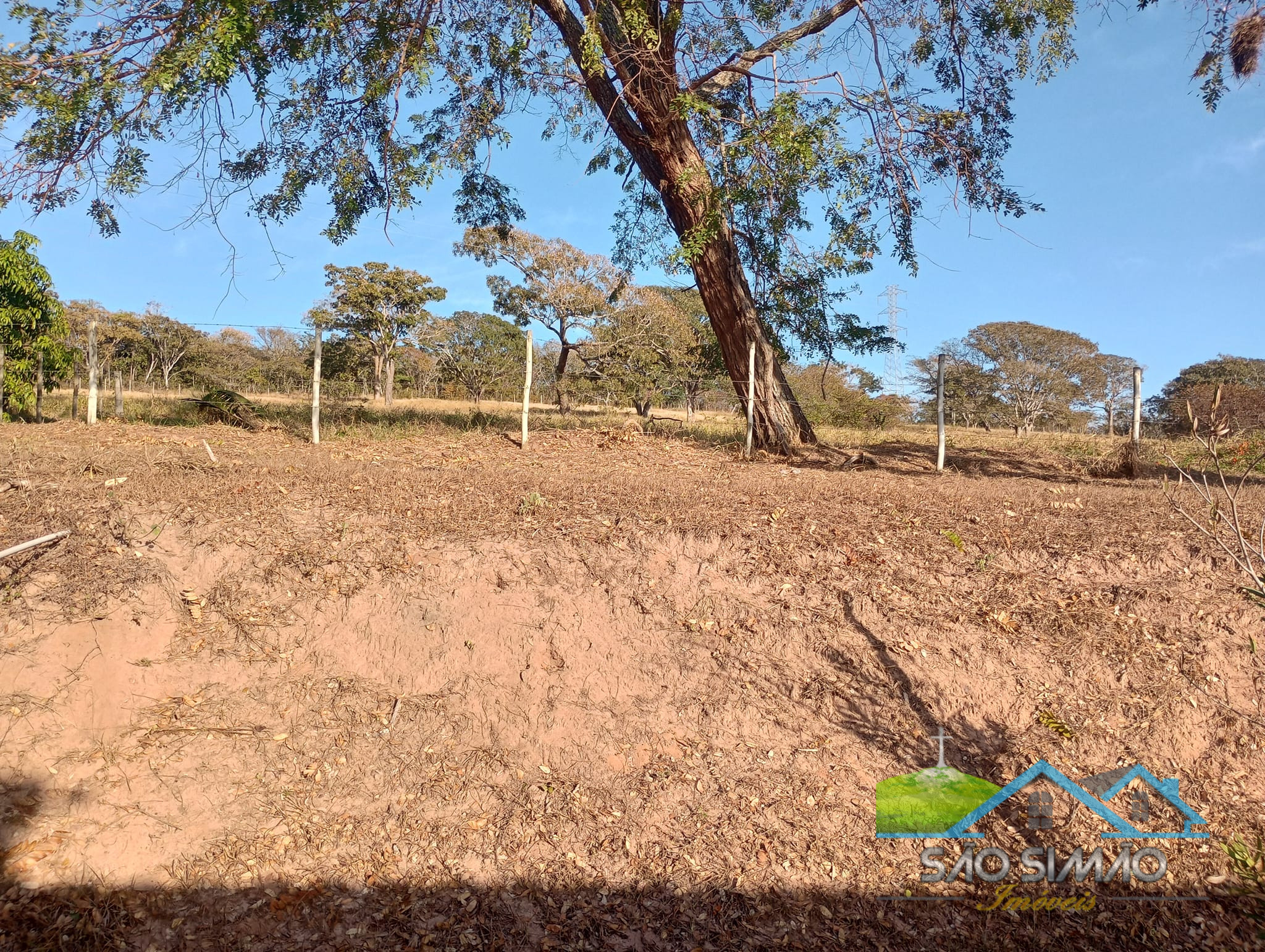 Sítio a venda em São Simão SP,  oportunidade rara