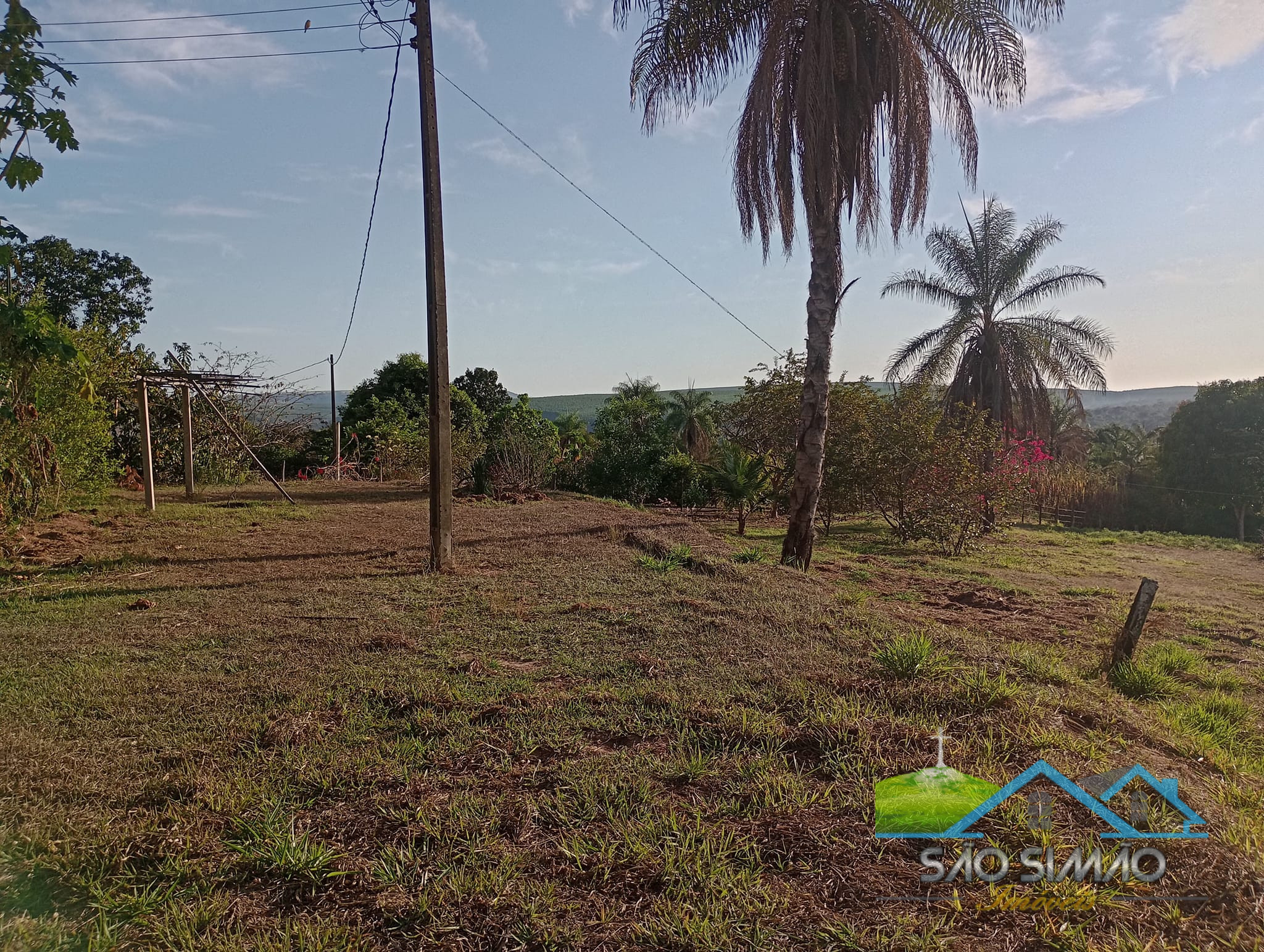 Sítio a venda em São Simão SP,  oportunidade rara