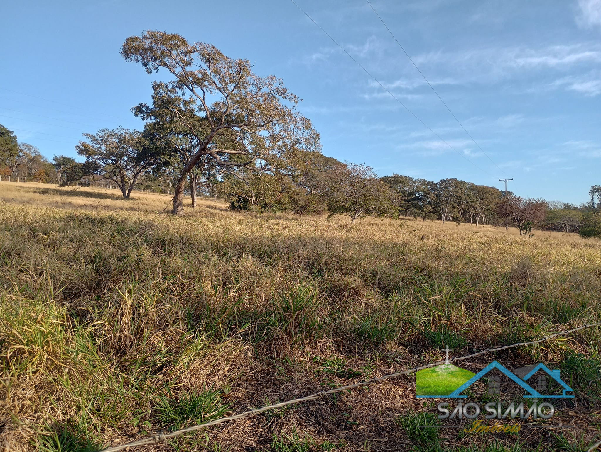 Sítio a venda em São Simão SP,  oportunidade rara