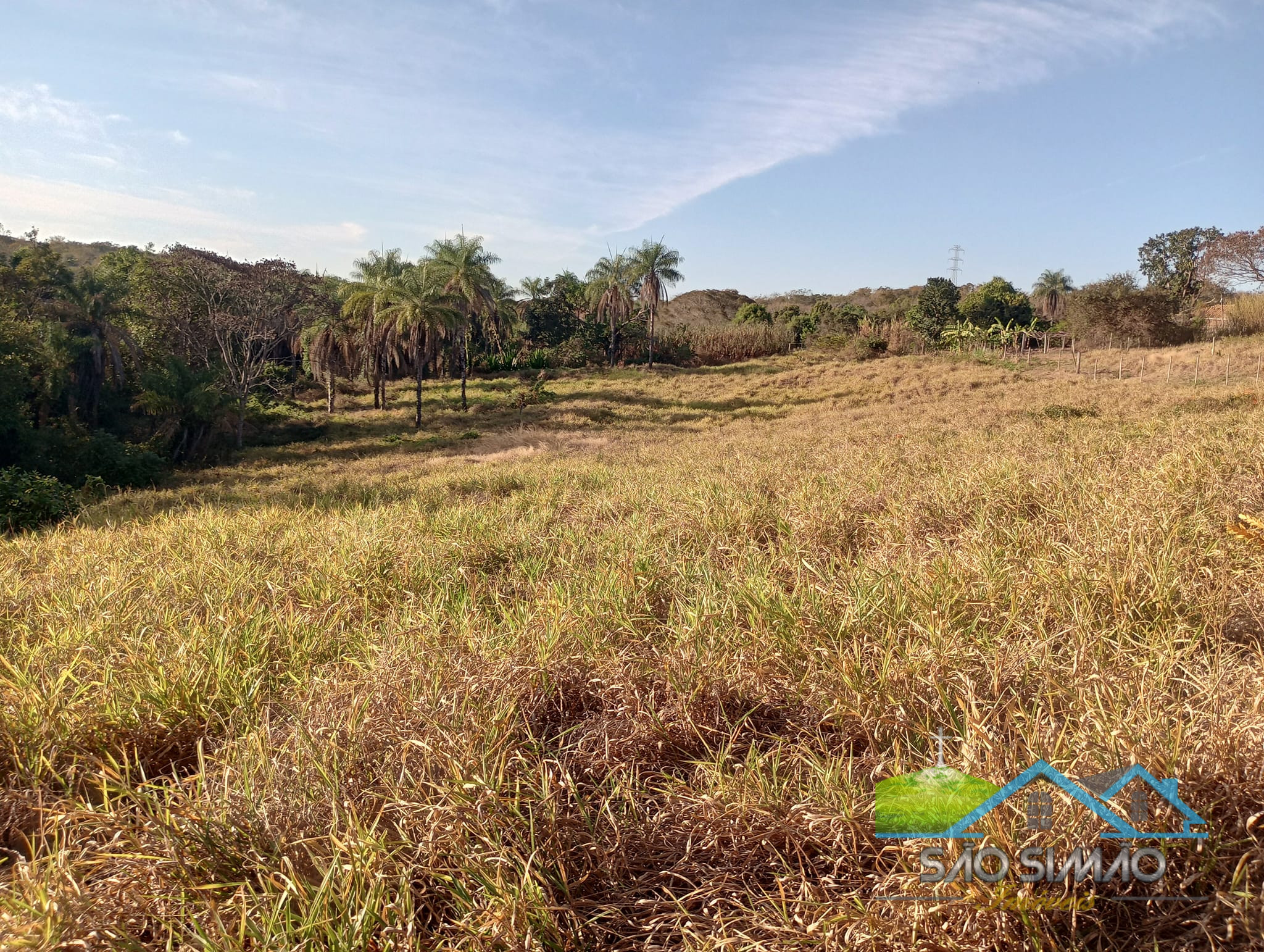 Sítio a venda em São Simão SP,  oportunidade rara