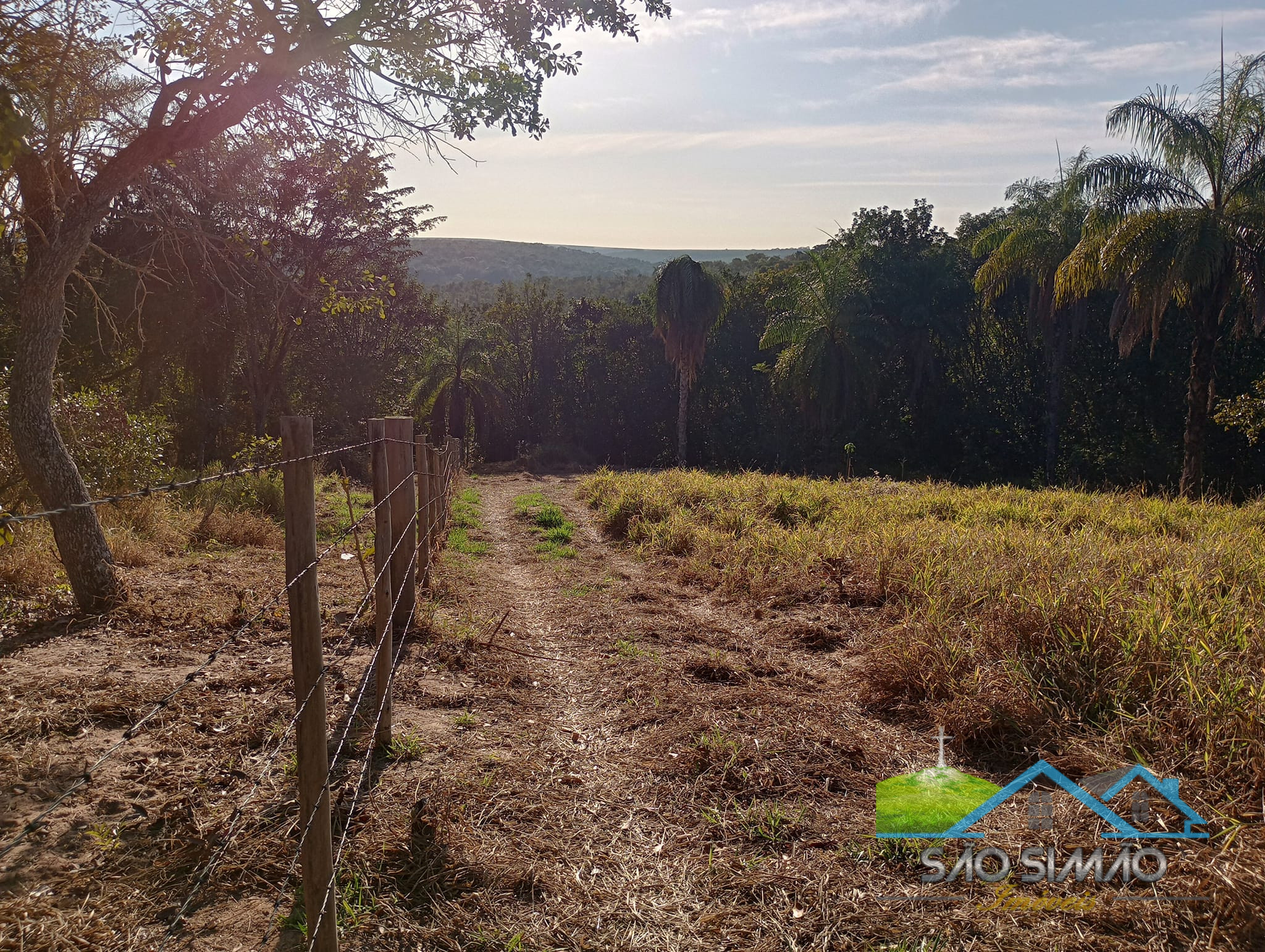 Sítio a venda em São Simão SP,  oportunidade rara