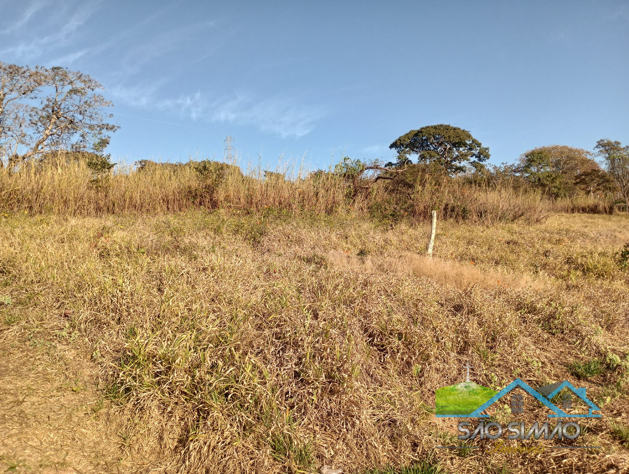 Sítio a venda em São Simão SP,  oportunidade rara