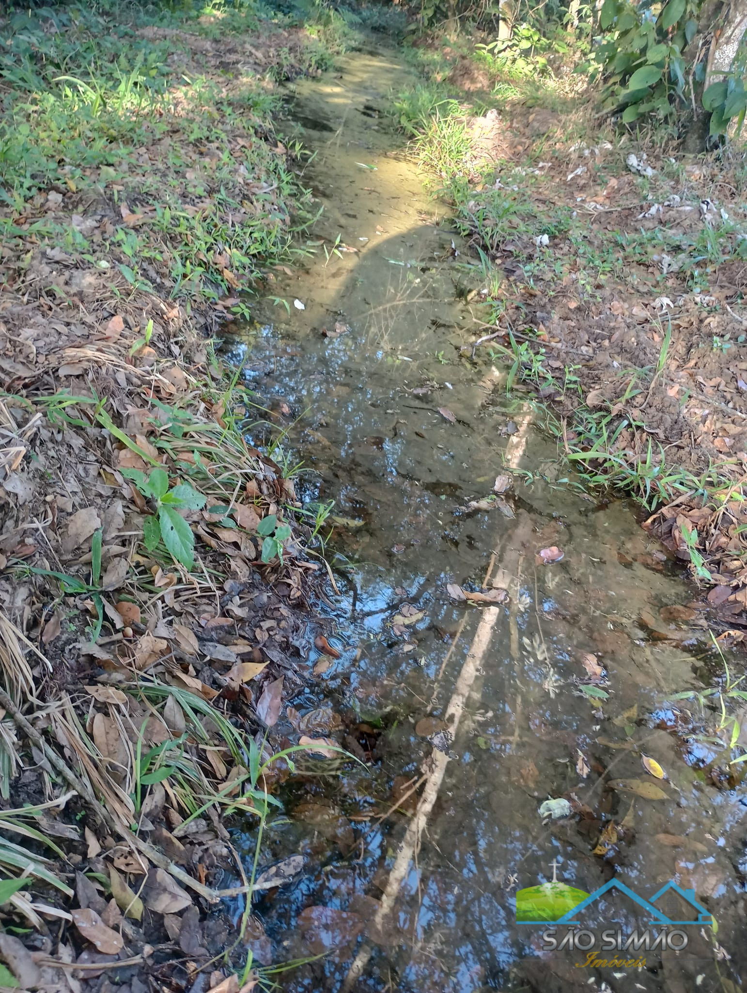 Sítio a venda em São Simão SP,  oportunidade rara