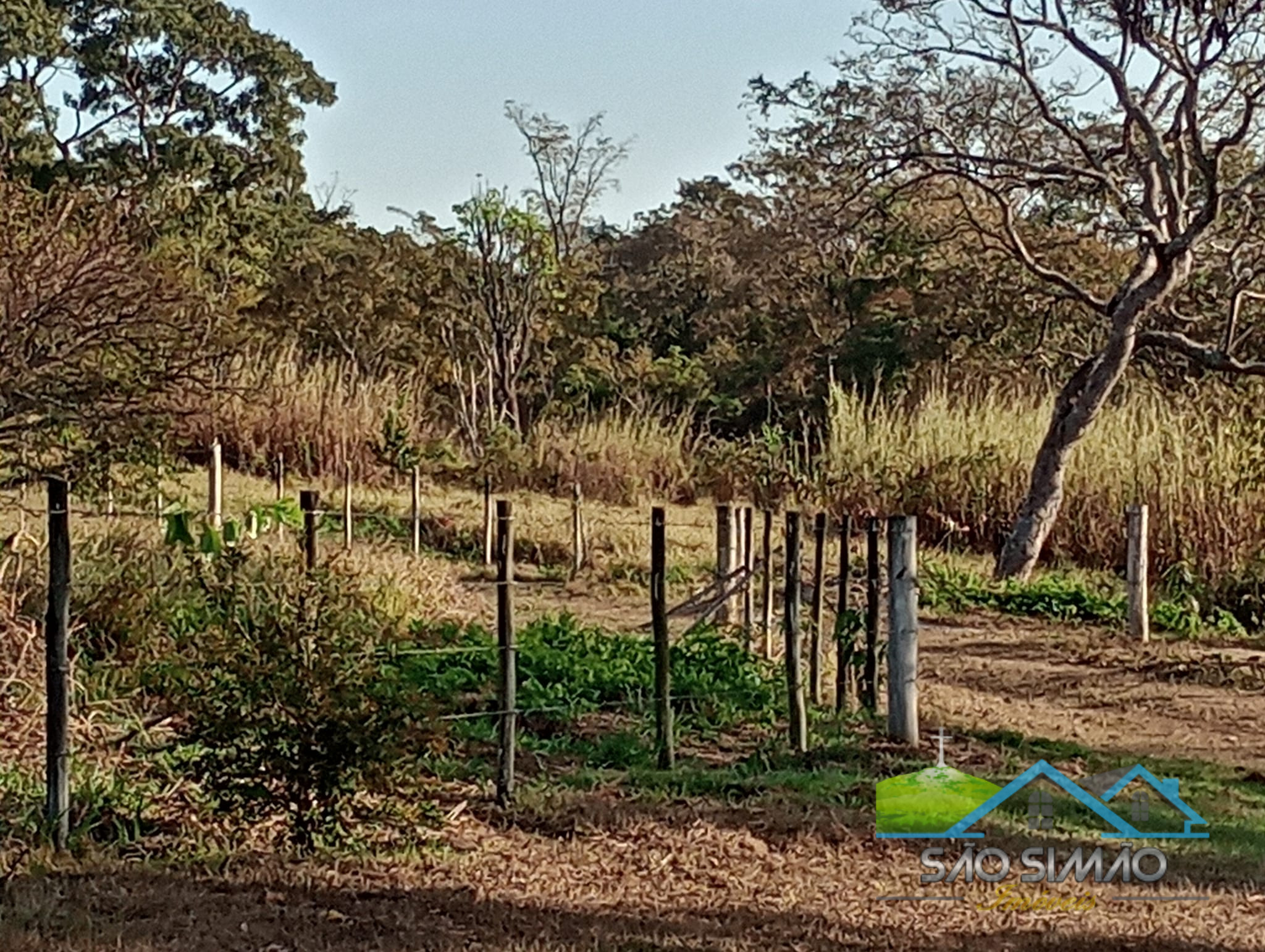 Sítio a venda em São Simão SP,  oportunidade rara