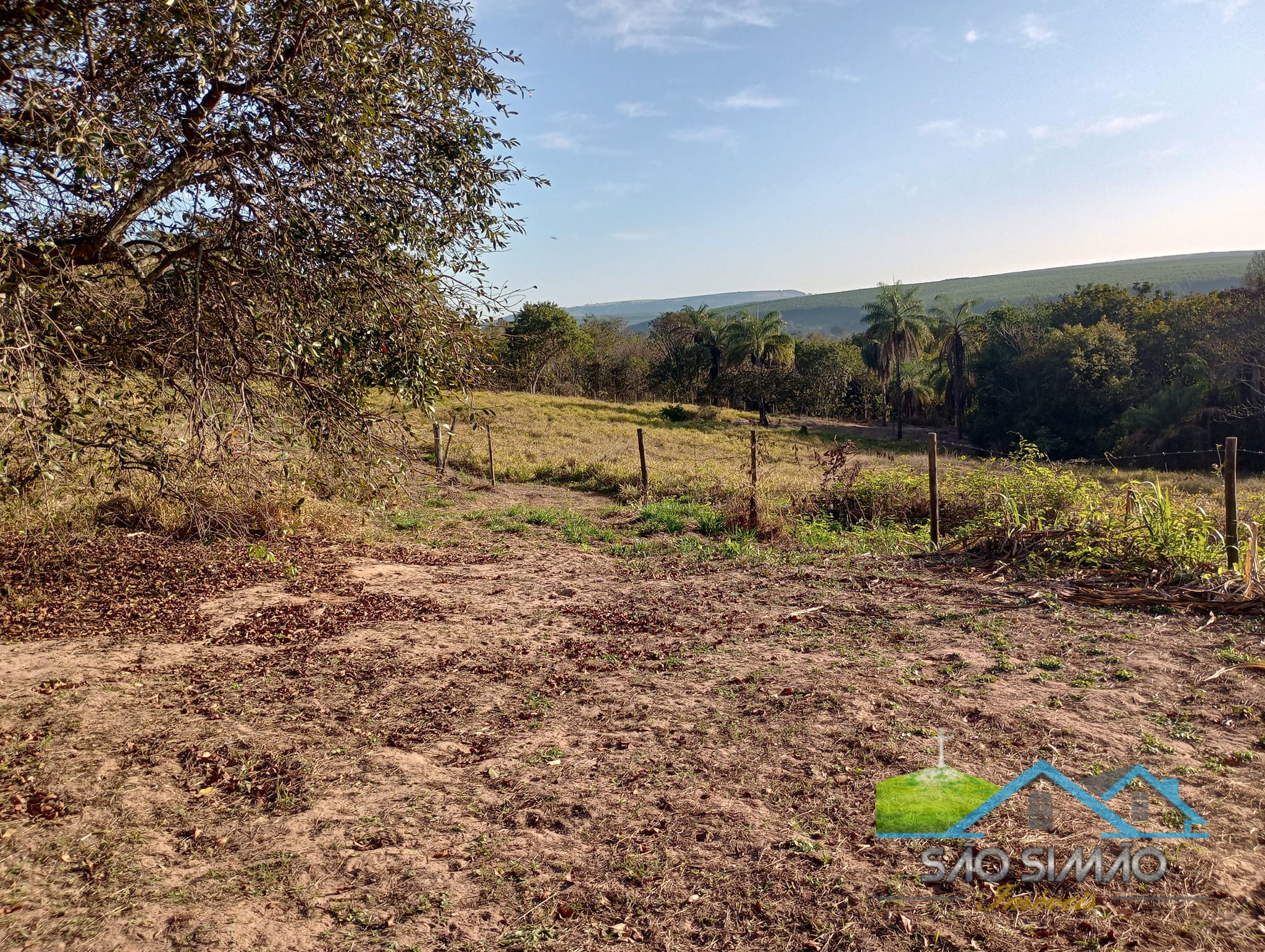 Sítio a venda em São Simão SP,  oportunidade rara