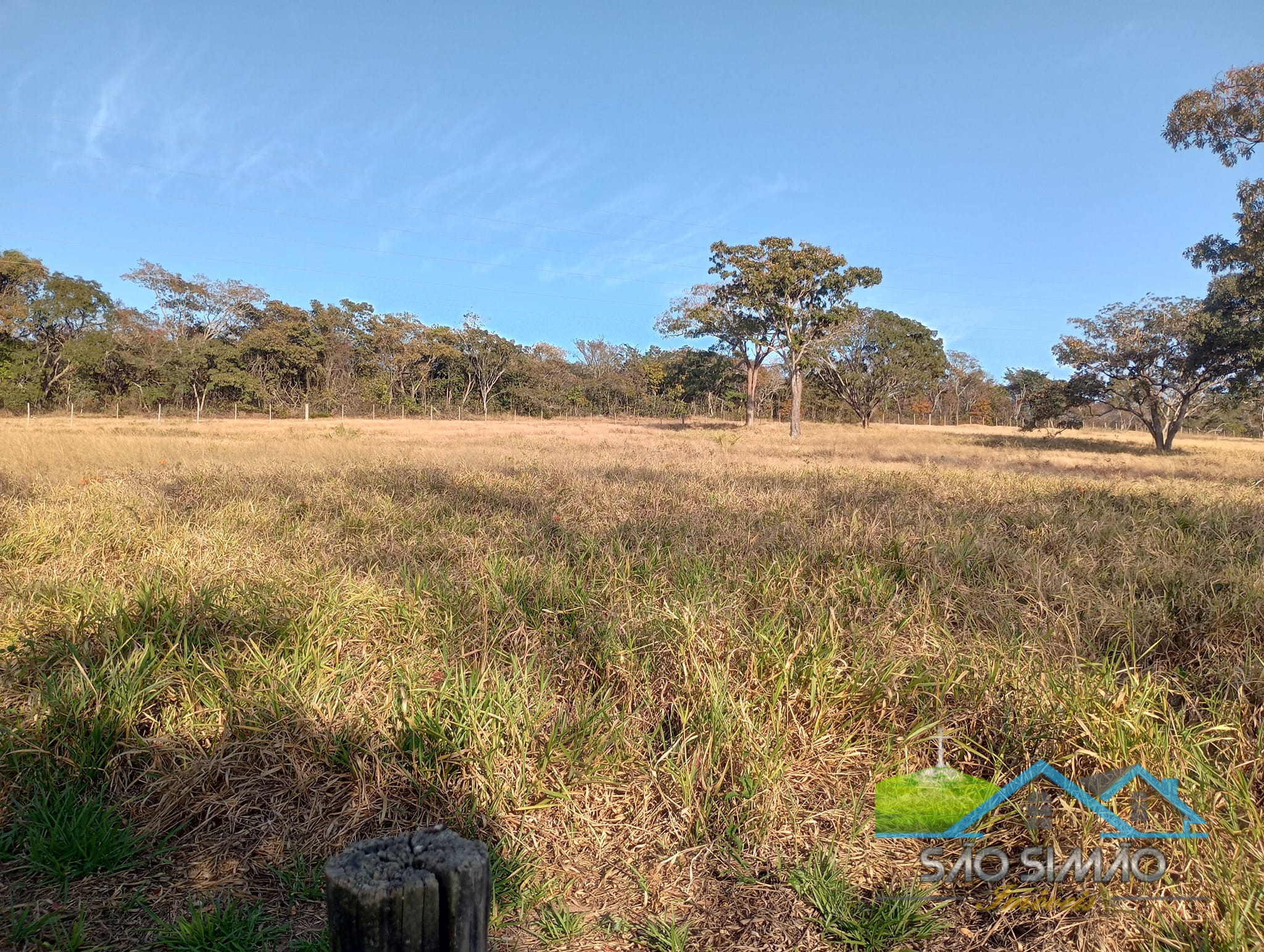 Sítio a venda em São Simão SP,  oportunidade rara
