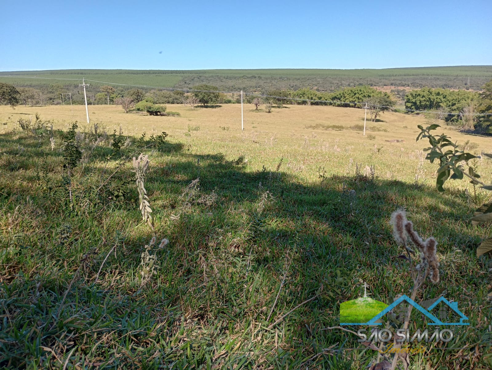 Terreno a venda em São Simão com 7 alqueires