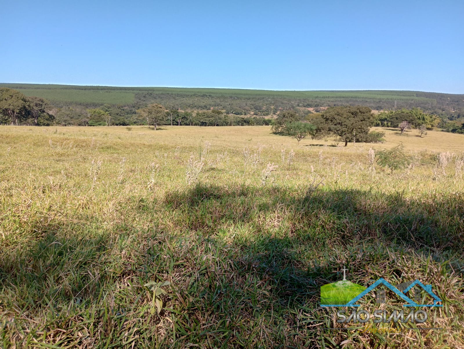 Terreno a venda em São Simão com 7 alqueires