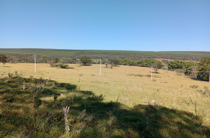Terreno a venda em São Simão com 7 alqueires