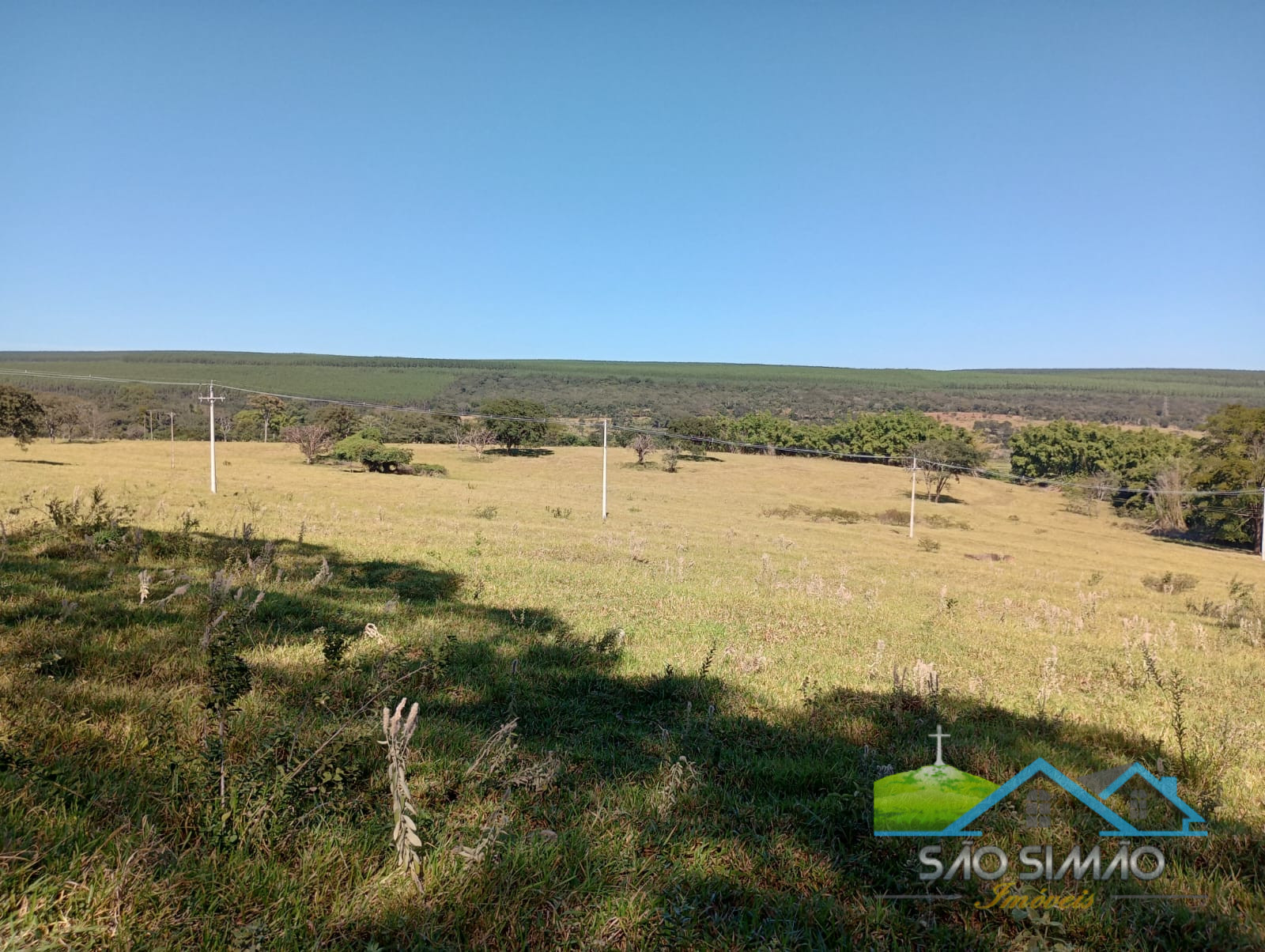 Terreno a venda em São Simão com 7 alqueires