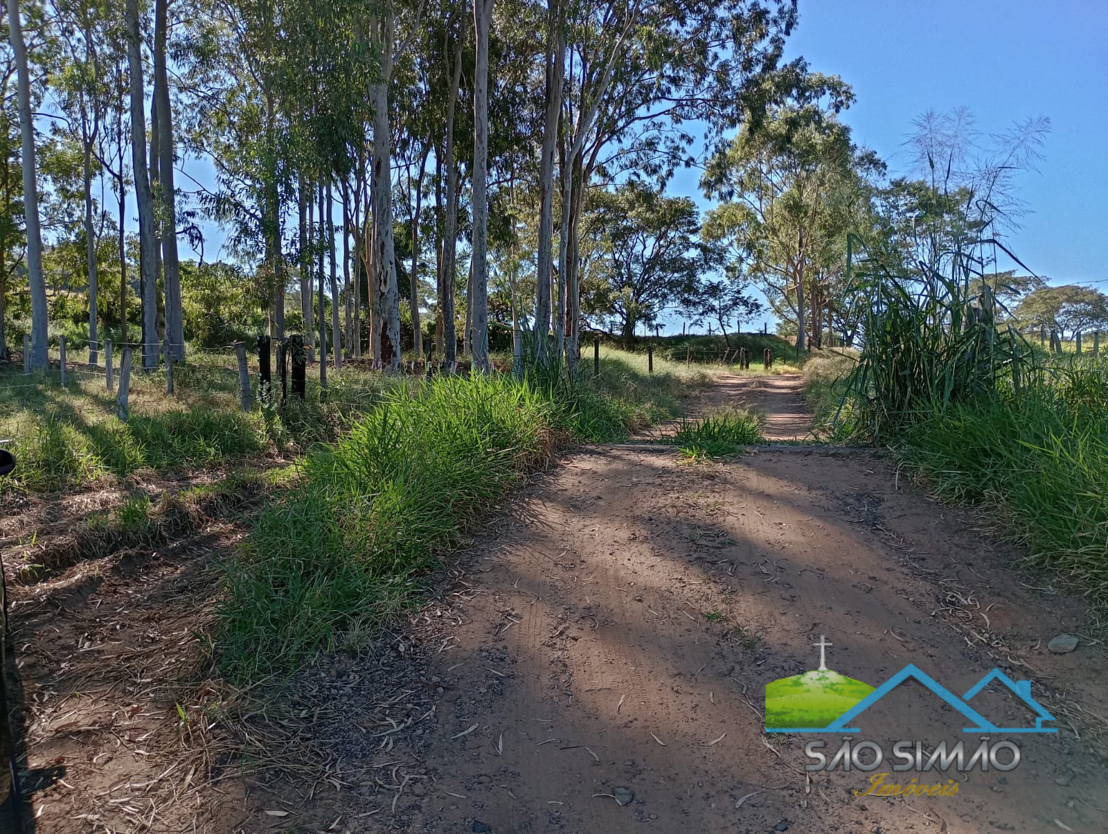 Terreno a venda em São Simão com 7 alqueires