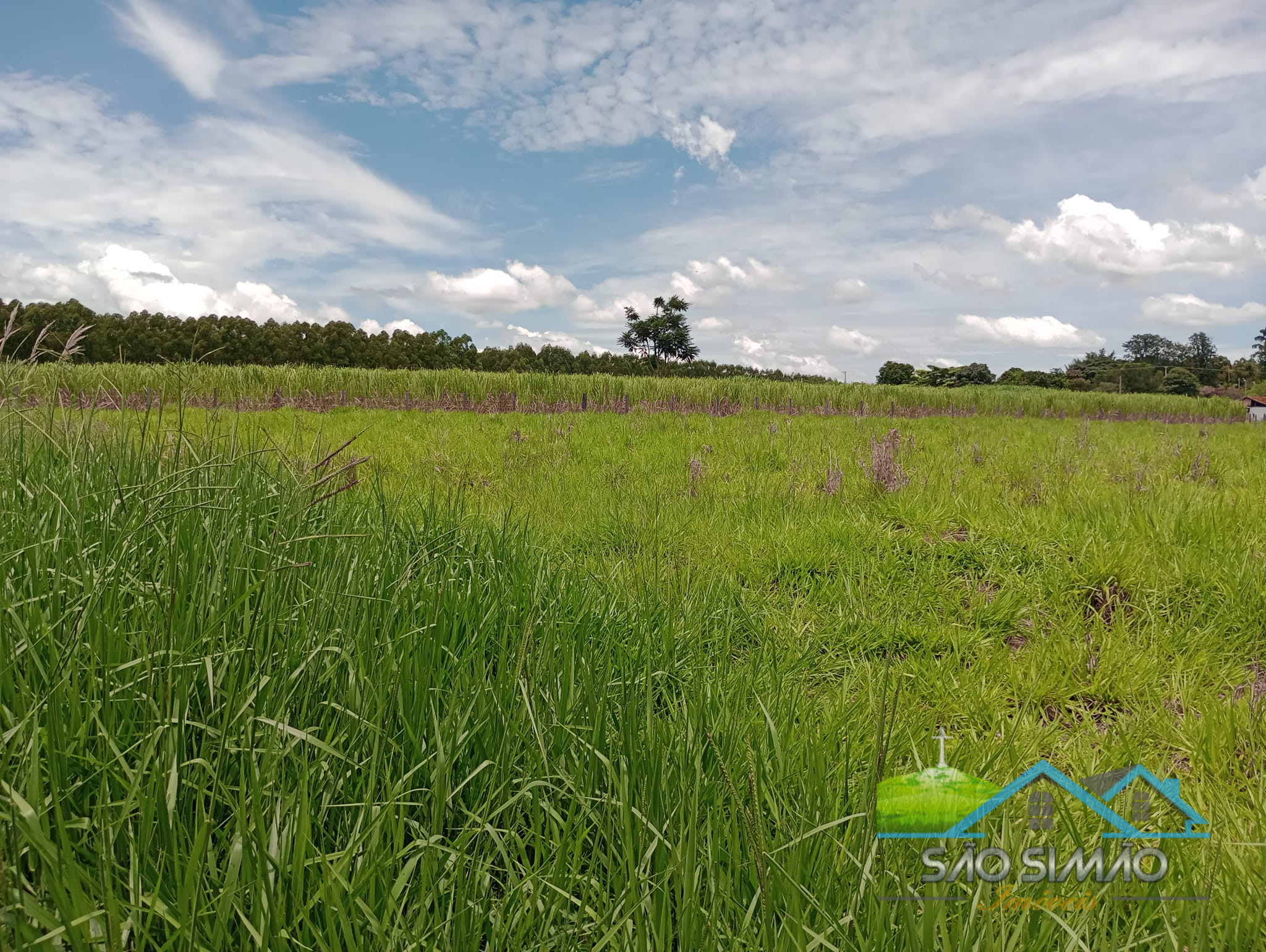 Sítio 2,5 alqueires em São Simão SP