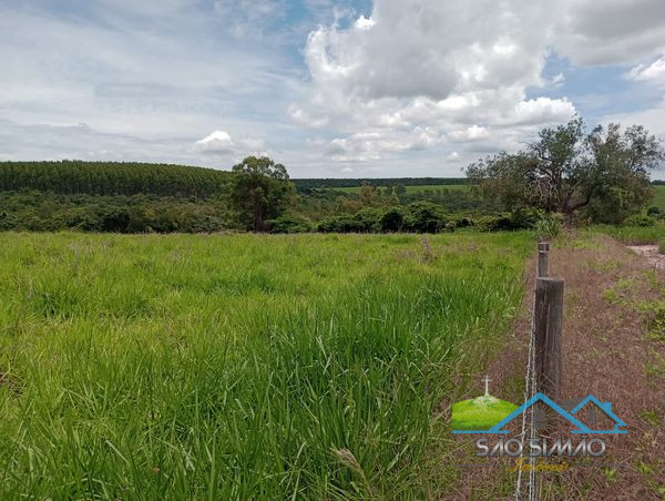 Sítio 2,5 alqueires em São Simão SP
