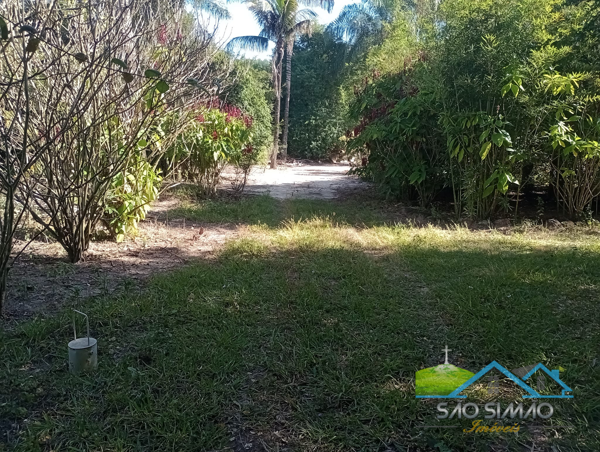 Sítio 5 alqueires a venda em São Simão SP