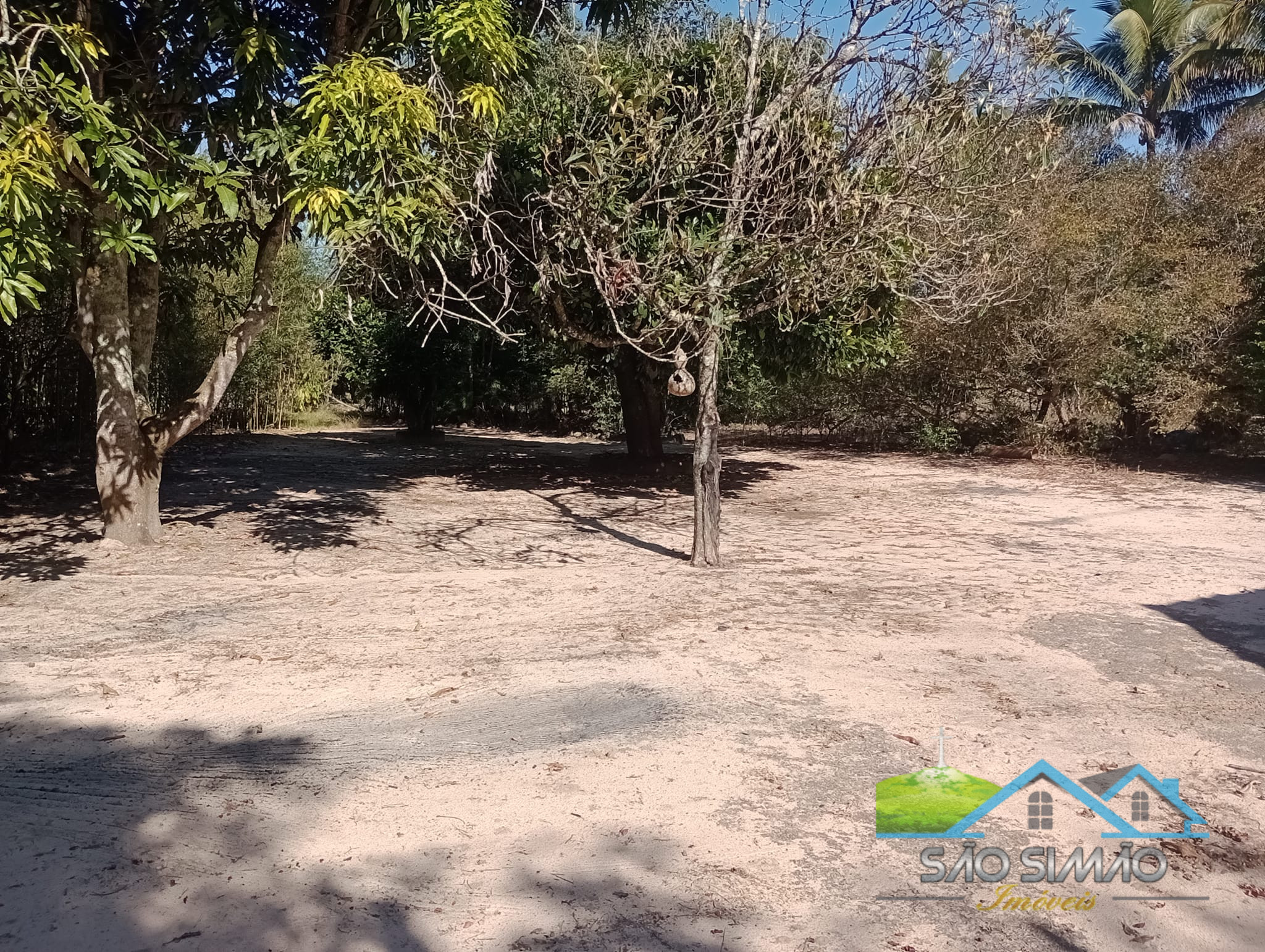 Sítio 5 alqueires a venda em São Simão SP