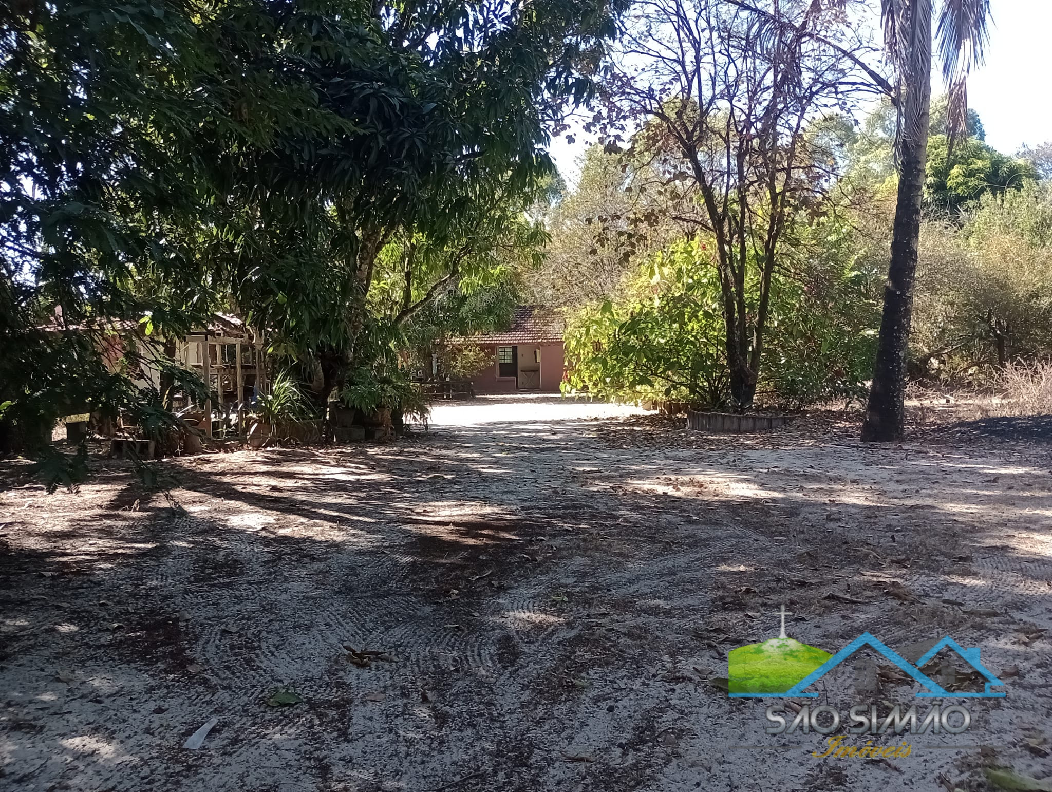 Sítio 5 alqueires a venda em São Simão SP