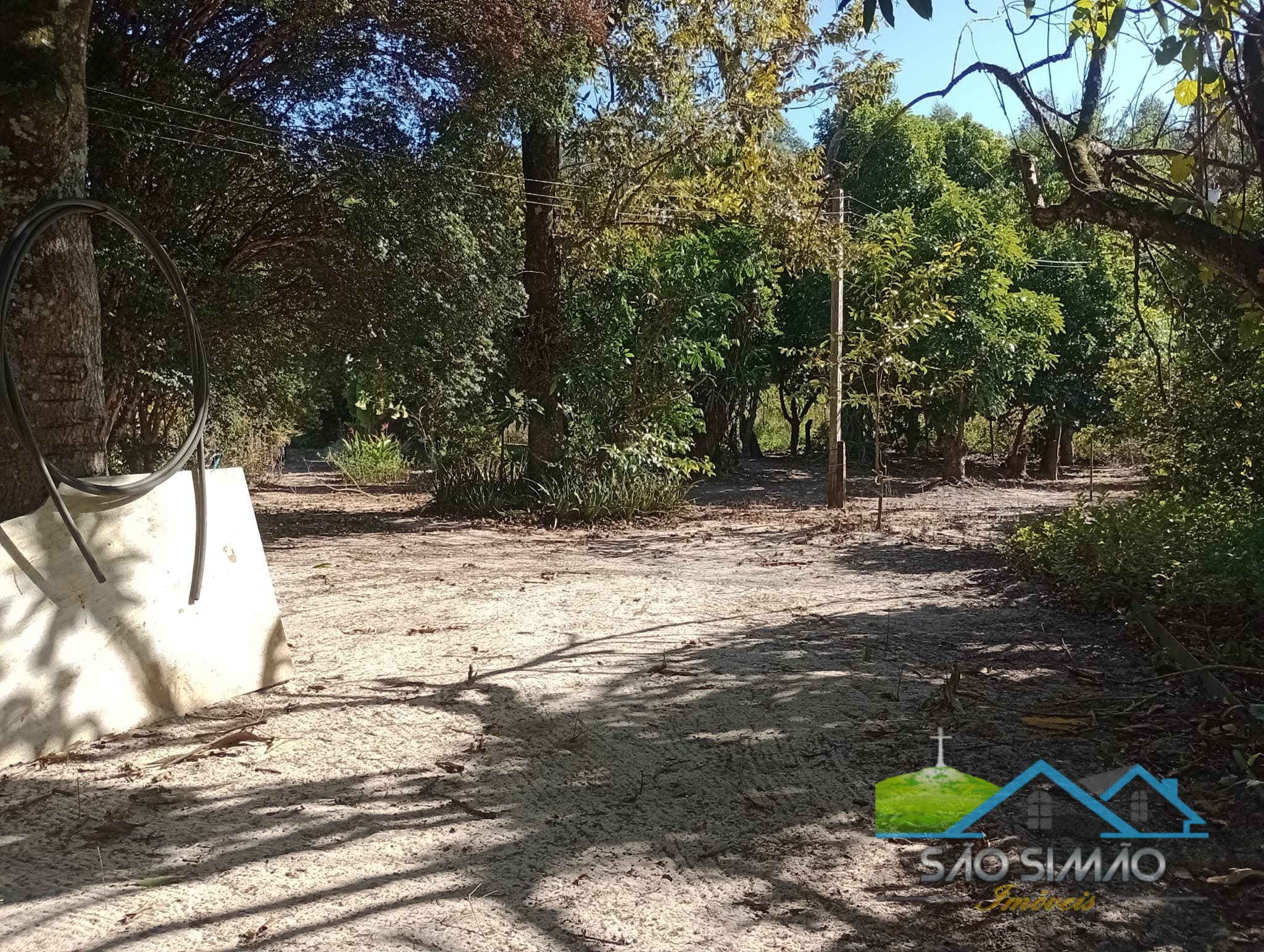 Sítio 5 alqueires a venda em São Simão SP