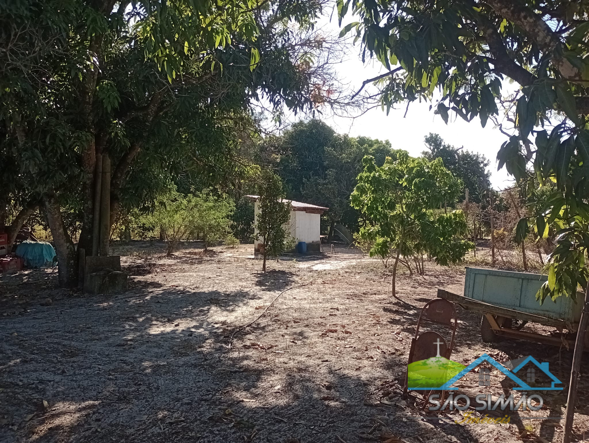 Sítio 5 alqueires a venda em São Simão SP