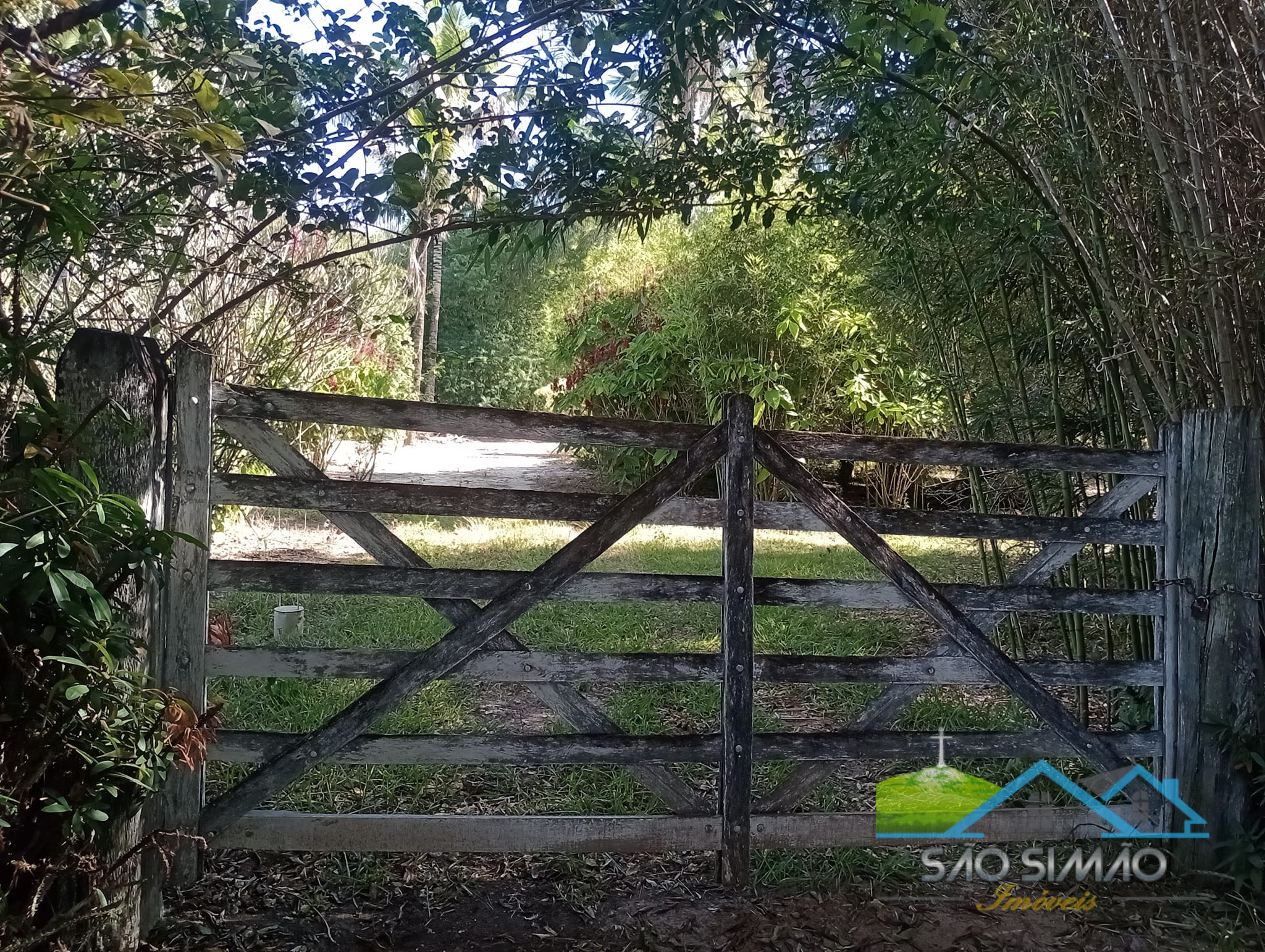 Sítio 5 alqueires a venda em São Simão SP