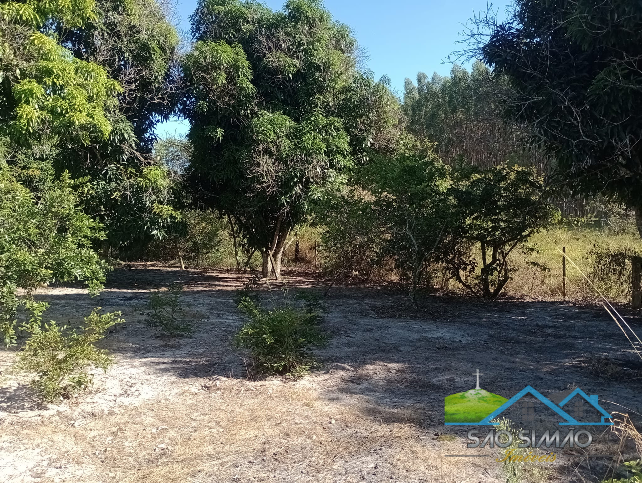 Sítio 5 alqueires a venda em São Simão SP