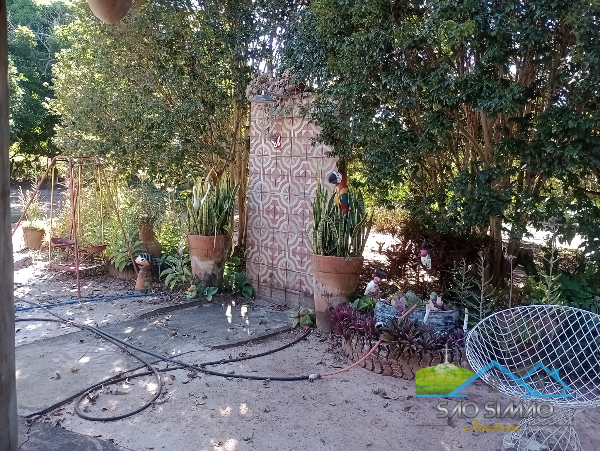 Sítio 5 alqueires a venda em São Simão SP