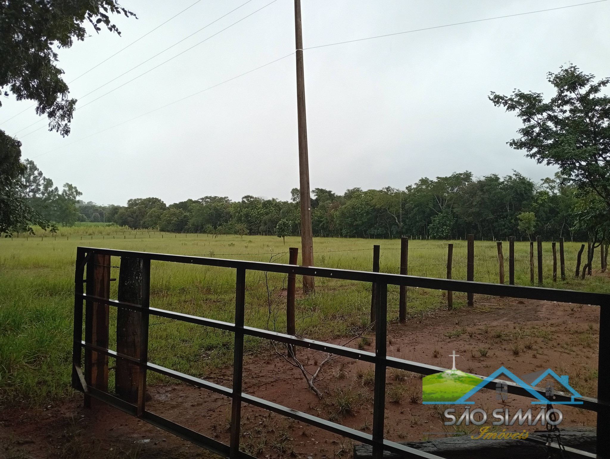 SÍTIO a venda em São Simão SP a 5 km da cidade