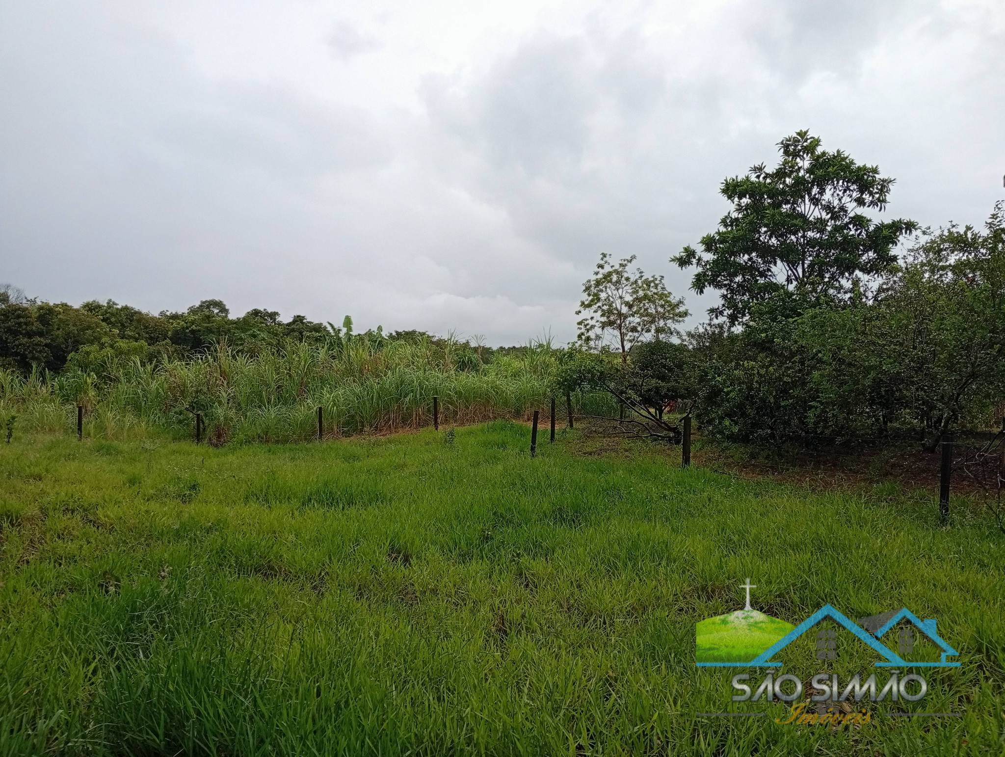 SÍTIO a venda em São Simão SP a 5 km da cidade