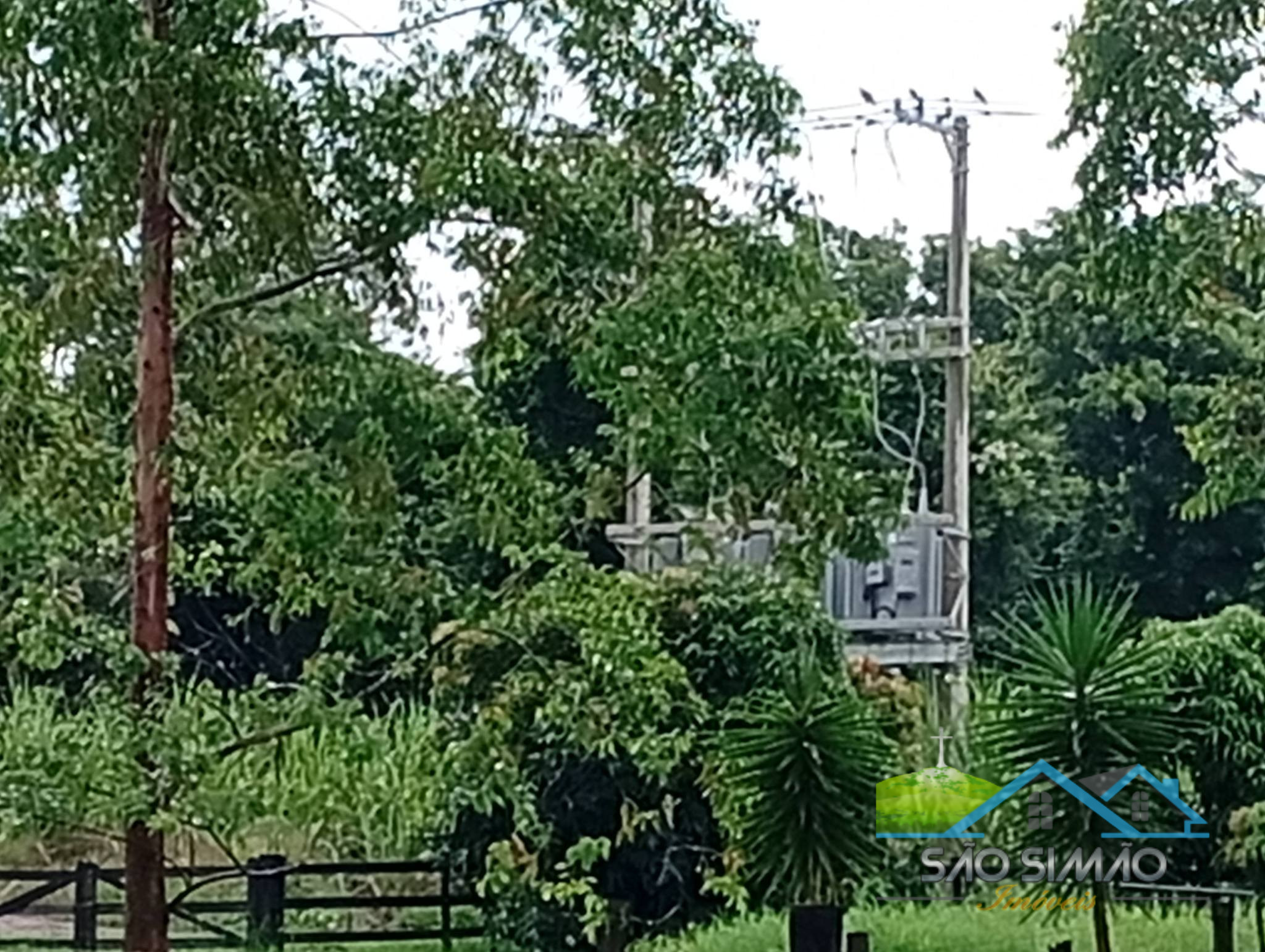 SÍTIO a venda em São Simão SP a 5 km da cidade