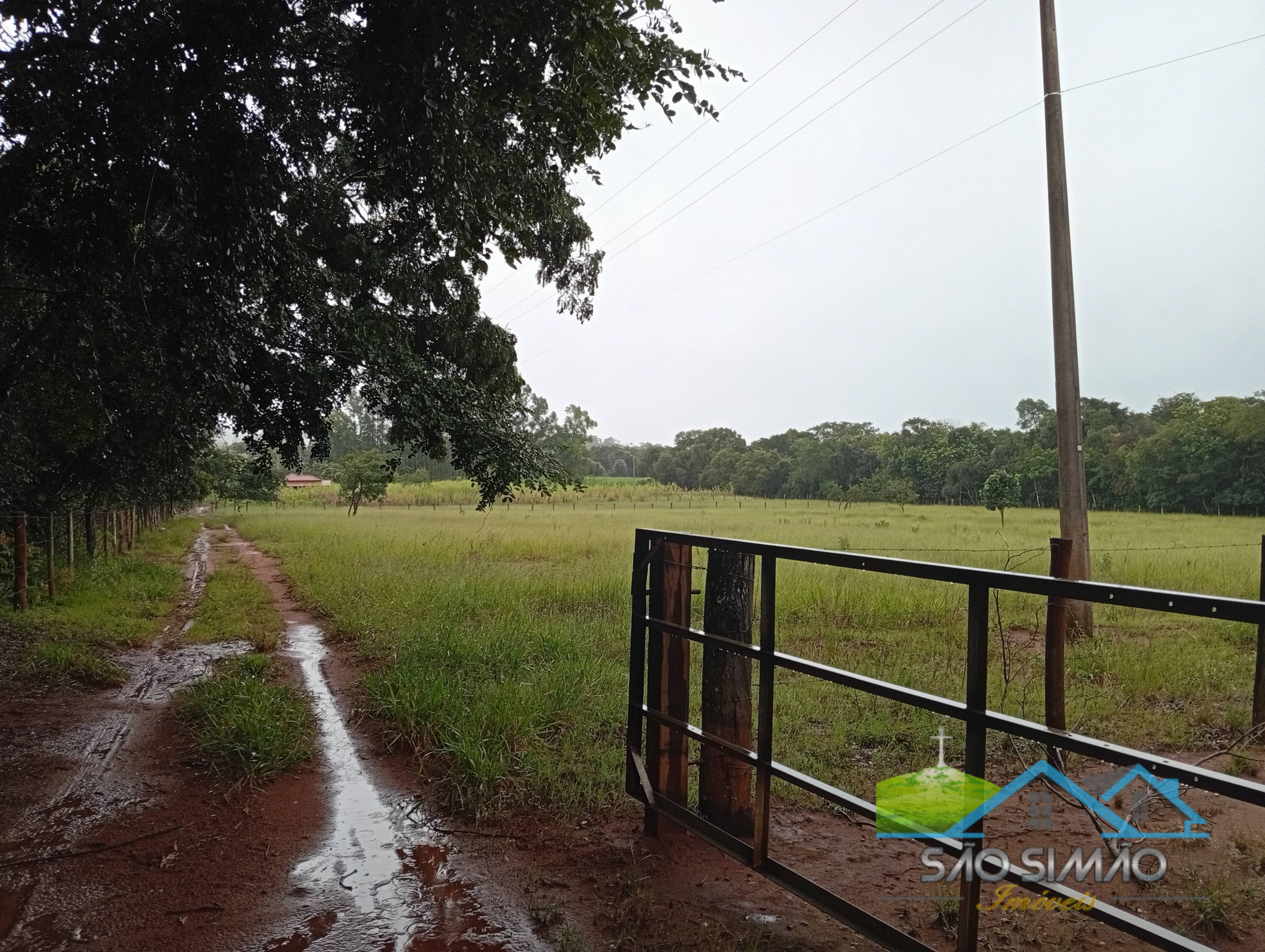 SÍTIO a venda em São Simão SP a 5 km da cidade