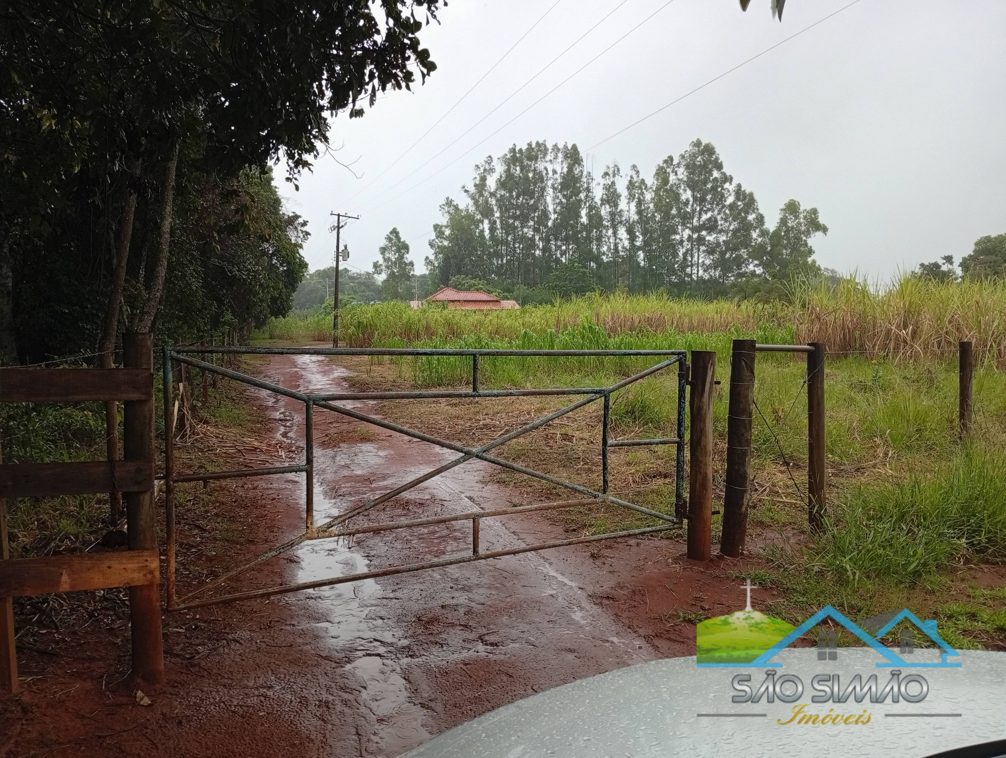 SÍTIO a venda em São Simão SP a 5 km da cidade