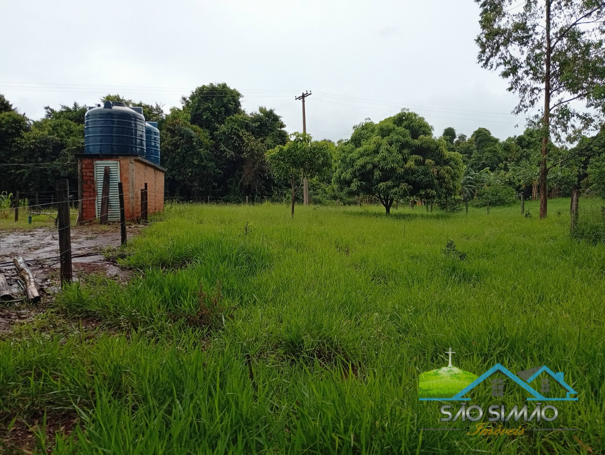 SÍTIO a venda em São Simão SP a 5 km da cidade