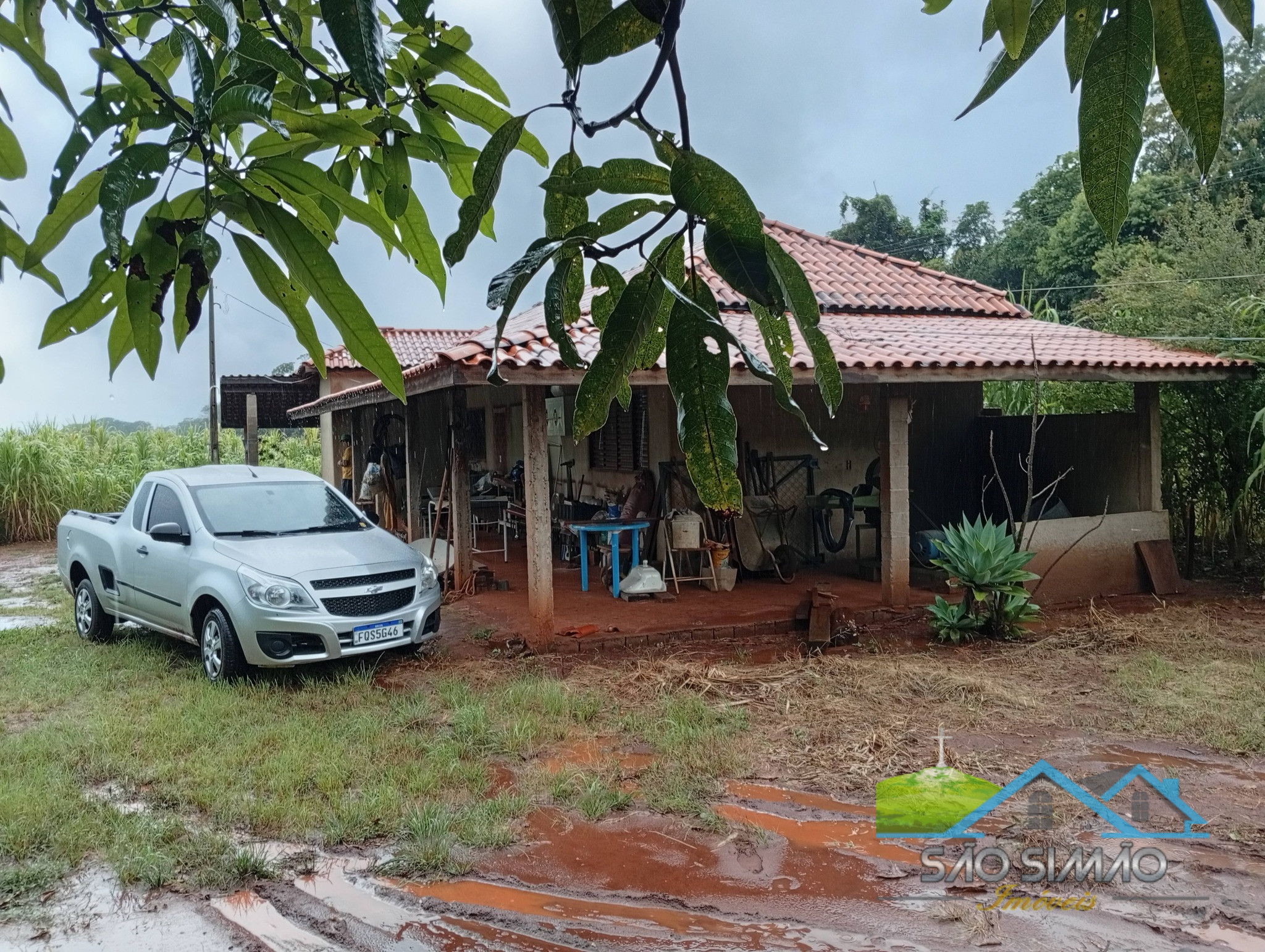 SÍTIO a venda em São Simão SP a 5 km da cidade