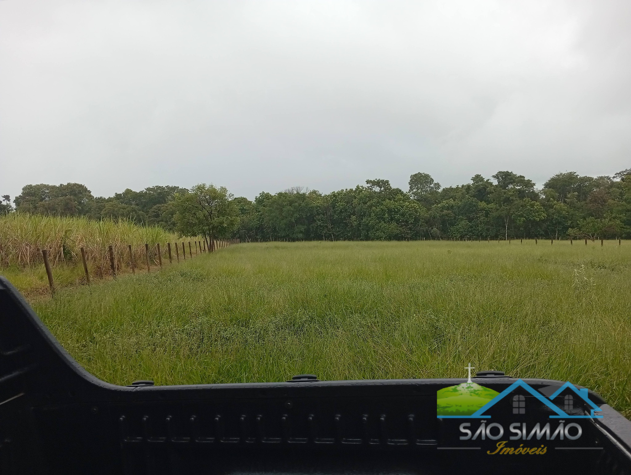 SÍTIO a venda em São Simão SP a 5 km da cidade