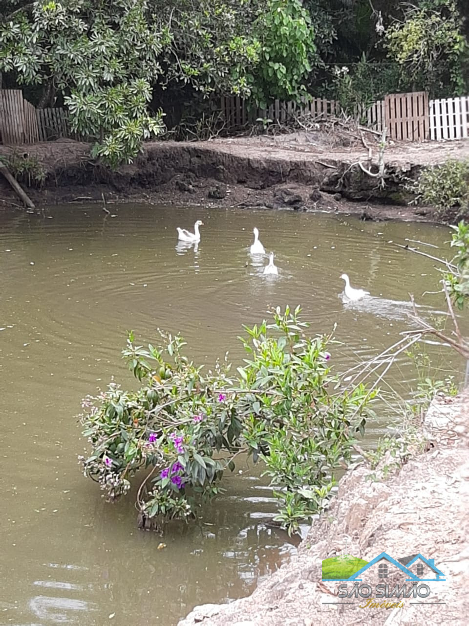 Sítio cinematográfico a venda em Tambaú SP