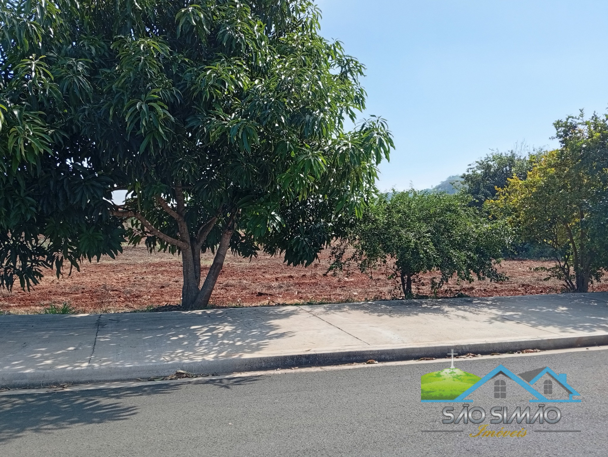 Terreno a venda em São Simão SP