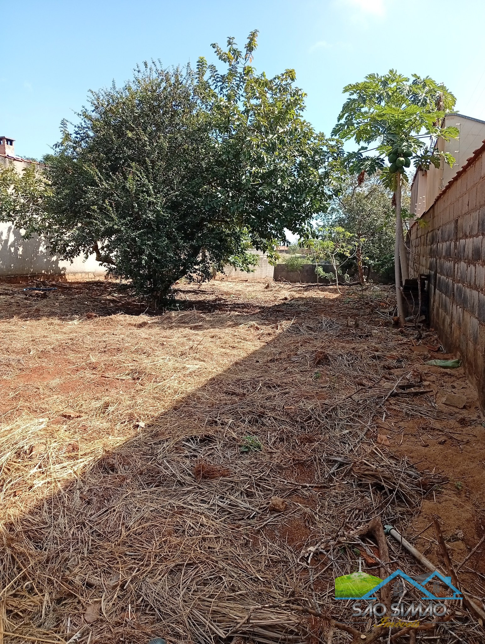 Terreno a venda em São Simão SP